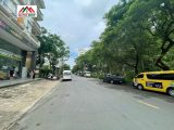 B9c751eed52614784d373 1.jpg