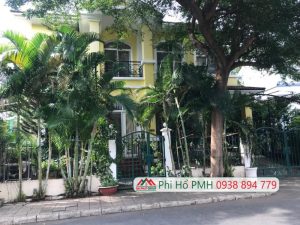 ban biet thu 2 tang khu hung thai phu my hung 1