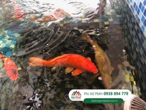 goc duong pham van nghi sat khu skygarden gia 45 ty dang cho thue 5200usd 4