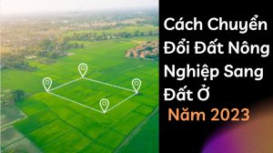 Cach Chuyen Doi Dat Nong Nghiep Sang Dat O Don Gian Nhanh Chong Nam 2023