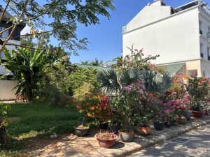 ban dat nha pho nam thong 3 phu my hung 6x18m gia tot so hong rieng 2