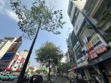 Bán Hoặc Cho Thuê Tòa Nhà Nguyễn Thái Học Quận 1 Cơ Hội Cho Nhà Đầu Tư
