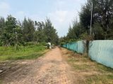 Bán 4096m2 Đất Cần Giờ Đối Diện Vinhomes Oto Tới Đất