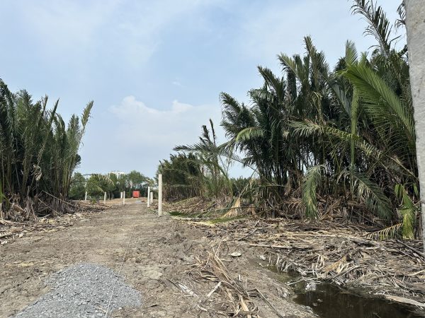 Bán 6685m Đất Ven Sông Rạch Đĩa Phước Kiển Đối Diện Khu Biệt Thự Chateau