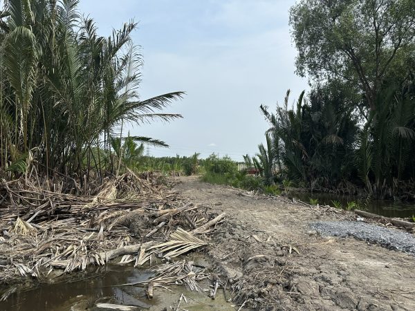 Bán 6685m Đất Ven Sông Rạch Đĩa Phước Kiển Đối Diện Khu Biệt Thự Chateau