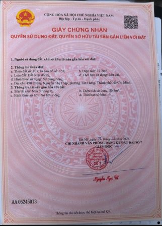 Bán Nhà Phố Mặt Tiền Đường Lớn Nguyễn Thị Thập 100m2 Sổ Hồng