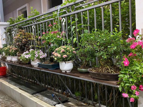 Bán Biệt Thự Nam Viên 1 Phú Mỹ Hưng 162m² Full Nội Thất Hướng Tây Bắc