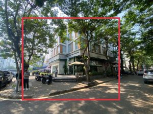 Cho Thuê Nhà Phố Kinh Doanh Góc 2 Mặt Tiền Hưng Phước 4 17x18.5m