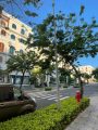 Bán Nhà Phố Khu Đô Thị Gateway Sungroup Phú Quốc 165m² Nhà Thô Sổ Hồng Sẵn