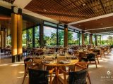 Bán Biệt Thự Nghỉ Dưỡng Sailing Club Phú Quốc 232m2 – 3pn, Có Hồ Bơi Riêng, đang Khai Thác Cho Thuê