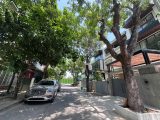 Bán Biệt Thự Sân Vườn Mỹ Giang Phú Mỹ Hưng 11,75mx18m 3 Tầng Có Thang Máy