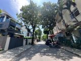 Bán Biệt Thự Sân Vườn Mỹ Giang Phú Mỹ Hưng 11,75mx18m 3 Tầng Có Thang Máy