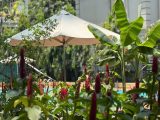 Bán Căn Hộ Green View Phú Mỹ Hưng nhà Mới,3 Phòng Ngủ, 2 Ban Công