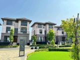Biệt Thự đơn Lập Zeit River County Nhà Bè, Sân Vườn Rộng 300m2 Giáp Sông
