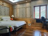 Biệt Thự Góc 2 Mặt Tiền Mỹ Tú 2 Phú Mỹ Hưng, 475m2 Có Hồ Bơi