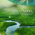 Giỏ Hàng Nhà Phố Vinhomes Green Paradise Cần Giờ Tháng 05/2026