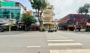 Bán Nhà Phố Đường Số 65 Kdc Tân Quy Đông Quận 7, Trệt + 2 Lầu 120m2