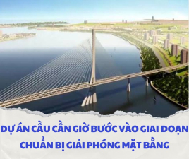 Dự án Cầu Cần Giờ Bước Vào Giai Đoạn Chuẩn Bị Giải Phóng Mặt Bằng