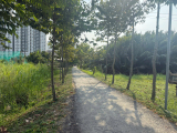 Bán đất Sân Golf Phước Kiển Nhà Bè 5.000m² đường ô Tô Tới đất