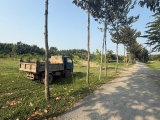 Bán đất Sân Golf Phước Kiển Nhà Bè 5.000m² đường ô Tô Tới đất
