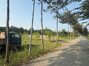 Bán đất Sân Golf Phước Kiển Nhà Bè 5.000m² đường ô Tô Tới đất